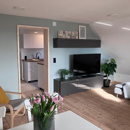 Ferienwohnung Weitblick Bad Schussenried Bagian luar foto